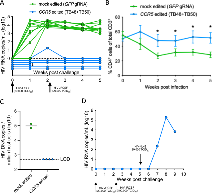 Fig. 6: Xenograft transplant with HSPCs exhibiting high-frequency CCR5 editing confers resistance to CCR5-tropic HIV infection.