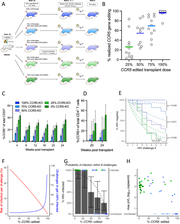Fig. 7: Frequency of CCR5 editing determines risk of HIV infection.