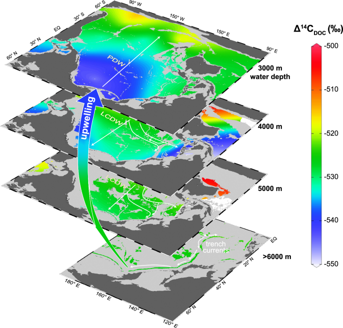 Removal of dissolved organic carbon in the West Pacific hadal zones ...