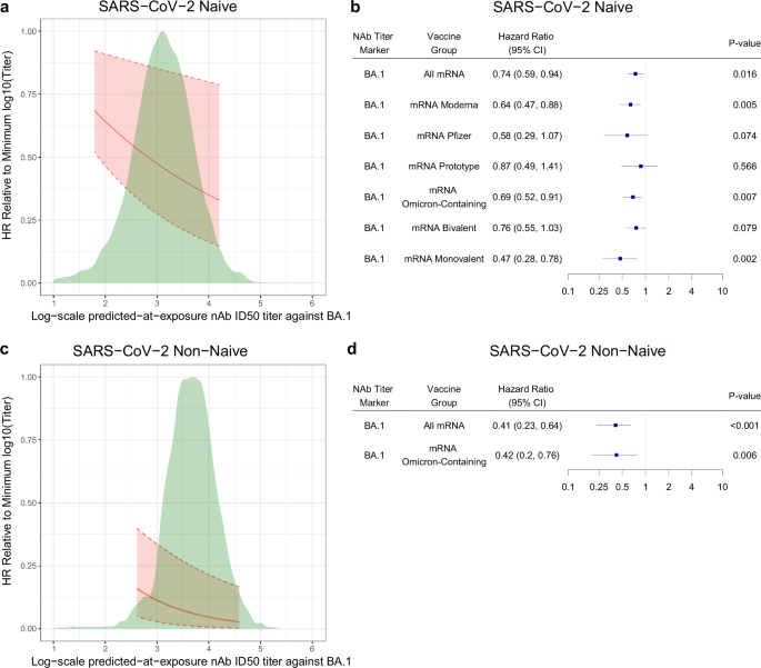 Fig. 6: Hazard ratio of COVID-19 relative to minimum predicted-at-exposure BA.1 titer by predicted-at-exposure BA.1 titer and calendar-time-based hazard ratios of COVID-19 per 10-fold increase in predicted-at-exposure BA.1 titer, shown separately in SARS-CoV-2 naïve and non-naïve participants.