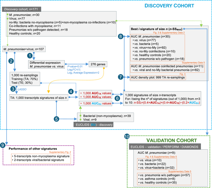 Fig. 1: Overall study design.