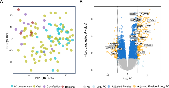 Fig. 2: PCA of transcriptomic profiles of different pneumonia cohorts and differential expression analysis.