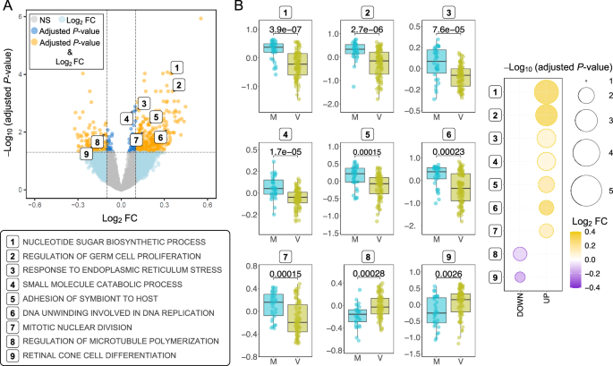 Fig. 5: Differential pathways analysis.