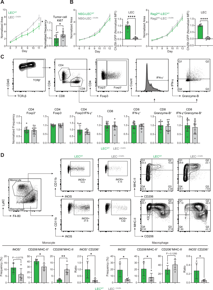 Fig. 2: Loss of Ch25h expression by tumor LECs enhances tumor growth by dampening anti-tumor immunity.