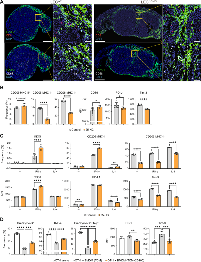 Fig. 4: 25-HC treatment reverses tumor-associated macrophage immunosuppressive phenotype and functions in vitro.