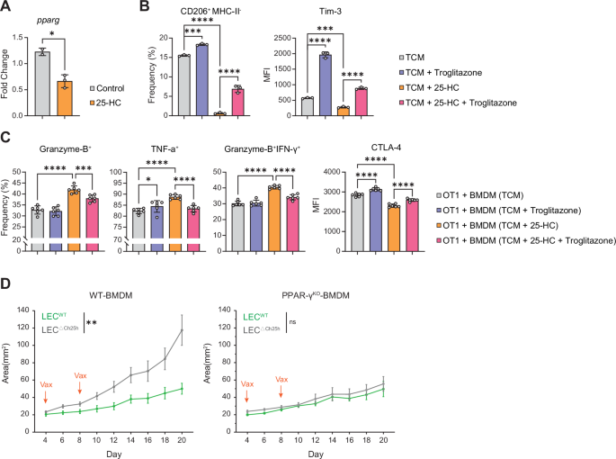 Fig. 7: LEC-derived 25-HC dampens the immunosuppressive functions of tumor-associated macrophages by inhibiting PPAR-γ expression.