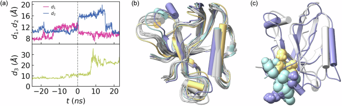 Fig. 9: Conformational dynamics of PDZ2 during ligand unbinding.