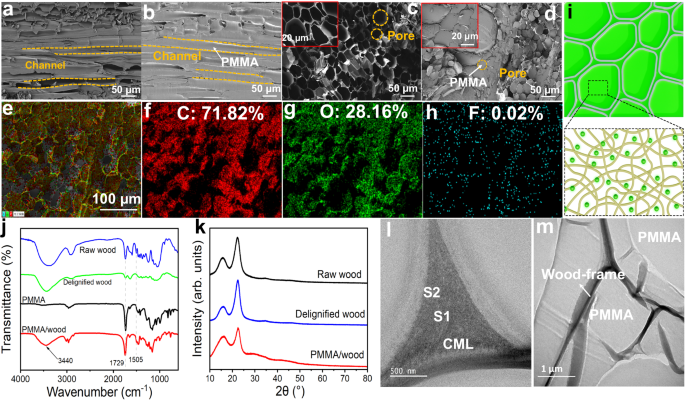 Fig. 4: Structure of transparent wood.