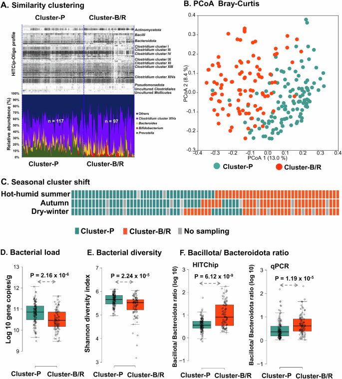 Fig. 1: Gut microbiota composition based grouping of the Indian study population.