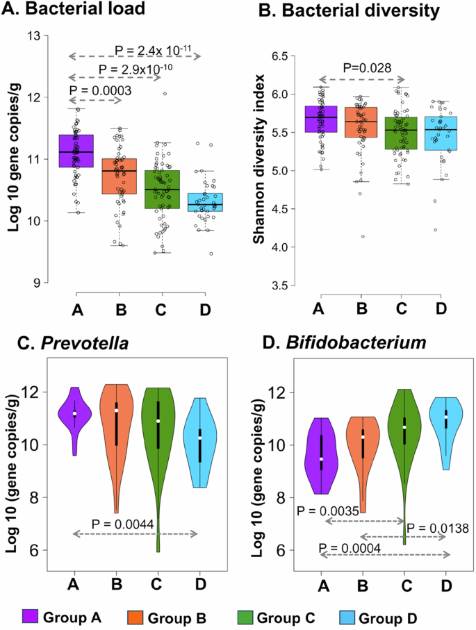 Fig. 6: Effect on the overall gut bacterial load, Shannon diversity, Prevotella and Bifidobacterium load during long-term fermented foods consumption.
