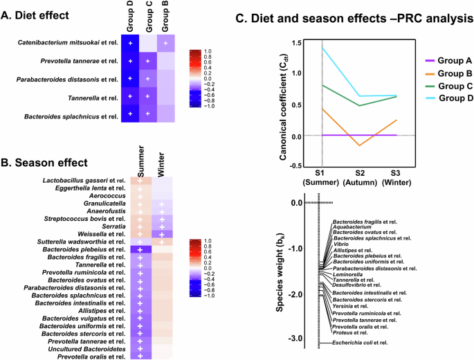 Fig. 7: Gut microbiota composition changes due to the diet (long-term consumption of fermented foods) and seasonal changes.