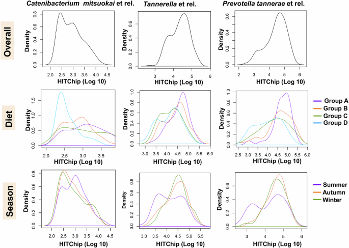 Fig. 8: Changes in the bimodal distribution of Catenibacterium mitsuokai et rel., Tannerella et rel., and Prevotella tannerae et rel., with significant diet association between four study groups (Diet) and three seasons (Season).