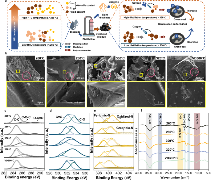 Fig. 4: The proposed formation mechanism of green coal.