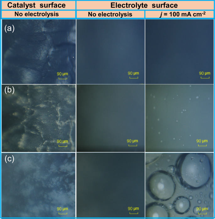 Fig. 4: Optical microscopic detection of Ag NPs-Skeleton, Ag NPs and Ag MPs during eCO2RR.