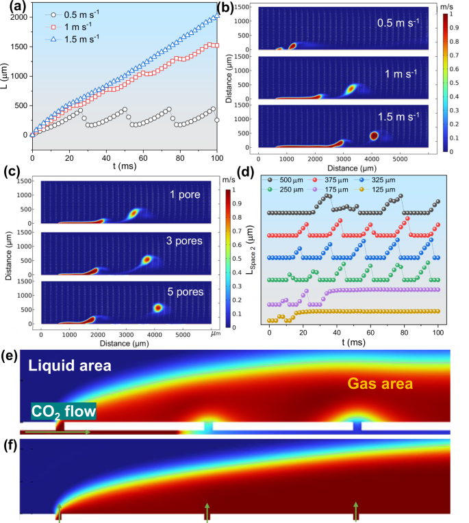 Fig. 5: COMSOL Multiphysics simulations of Ag NPs-Skeleton.