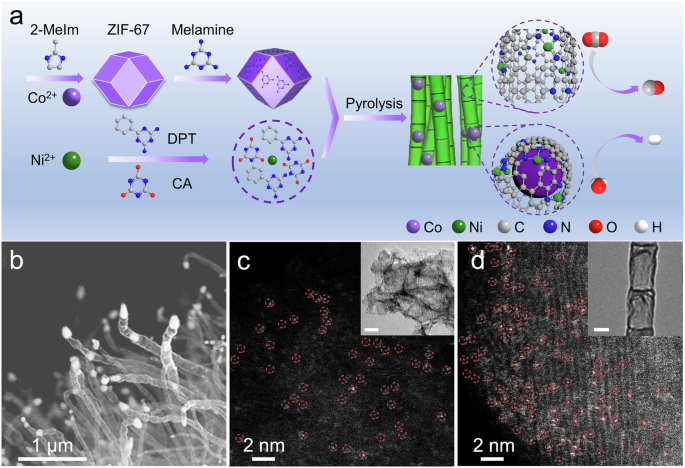 Fig. 2: Synthesis and characterizations of dual-active-site catalyst Ni SAs–Co NPs.