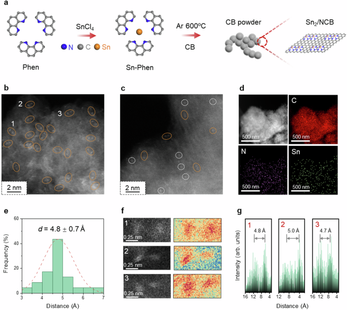 Fig. 2: Characterization of Sn2/NCB.