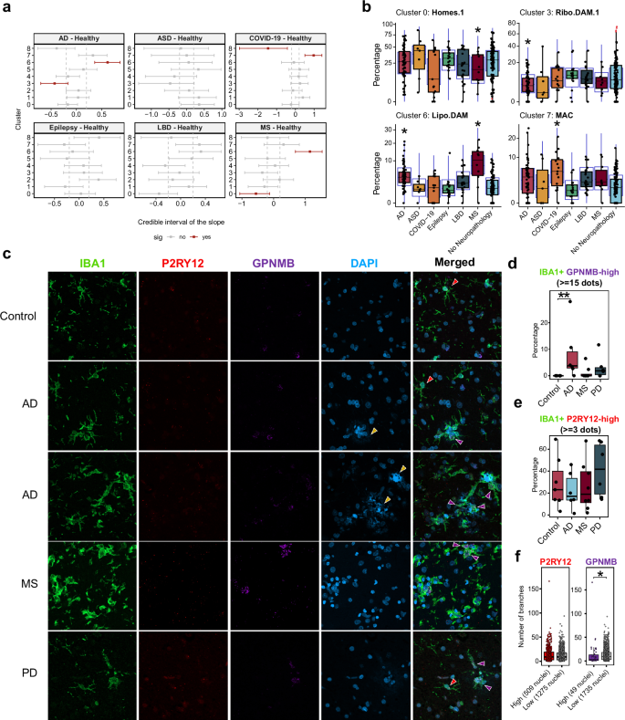 Fig. 4: Differential distribution of microglia populations.