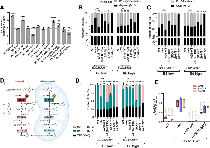 Fig. 5: SLC25A38-null cells display impairment in de novo glycine synthesis, export, and mitochondrial one-carbon metabolism in low B6.