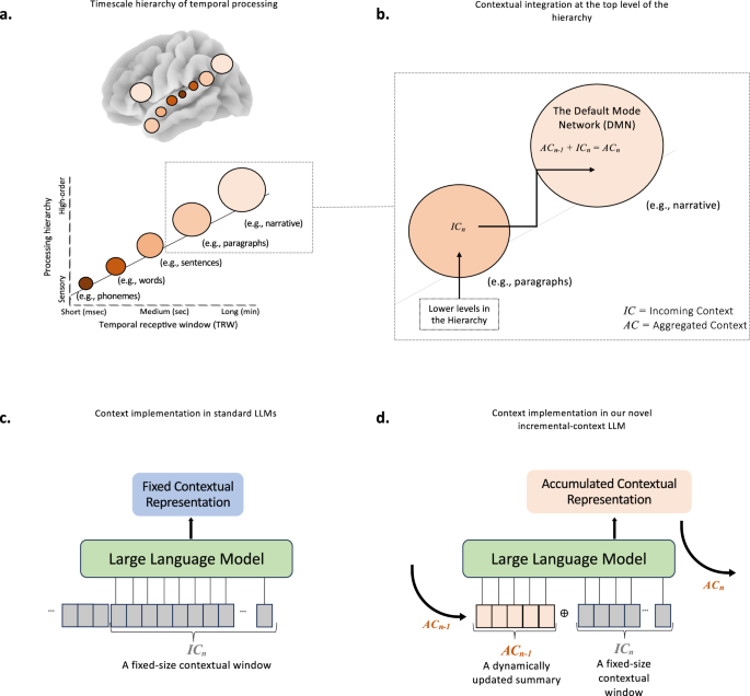 Fig. 1: Contextual processing in the brain vs. large language models.