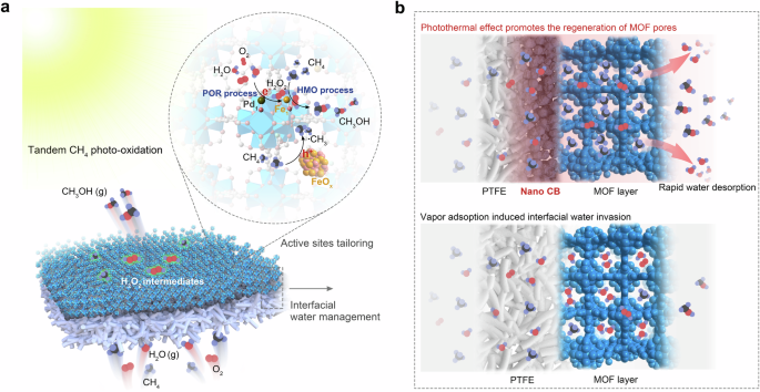 Fig. 1: Overview of MOF membrane nanoreactor.