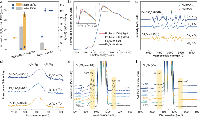 Fig. 5: Synergistic interactions between Pd and Fe species at the reticular gas-solid interface.