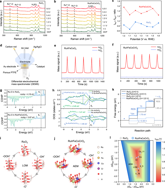 Fig. 6: In-situ Raman and theoretical calculations for the OER Mechanism.
