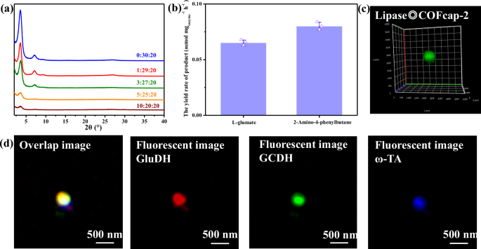 Fig. 3: Characterization of enzyme◎COFcap-2.