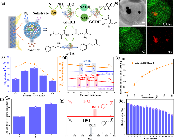 Fig. 4: Tandem catalyst system inside COFcap-2.