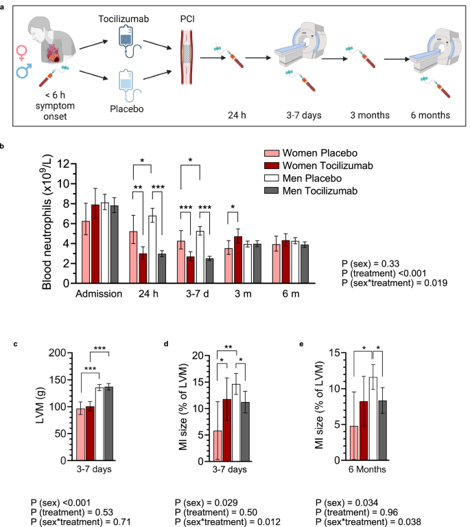 Fig. 4: Neutrophilia, cardiac injury, and response to anti-inflammatory treatment in acute MI are greater in men than women.