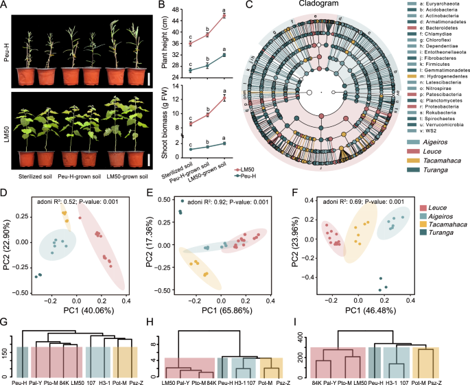 Fig. 1: The specific microbial taxa recruited by the poplar rhizosphere may be associated with plant performance.