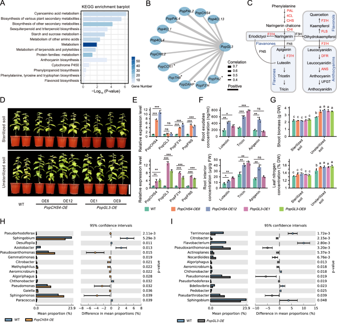 Fig. 5: PopGL3 regulates tricin synthesis to recruit Pseudomonas.