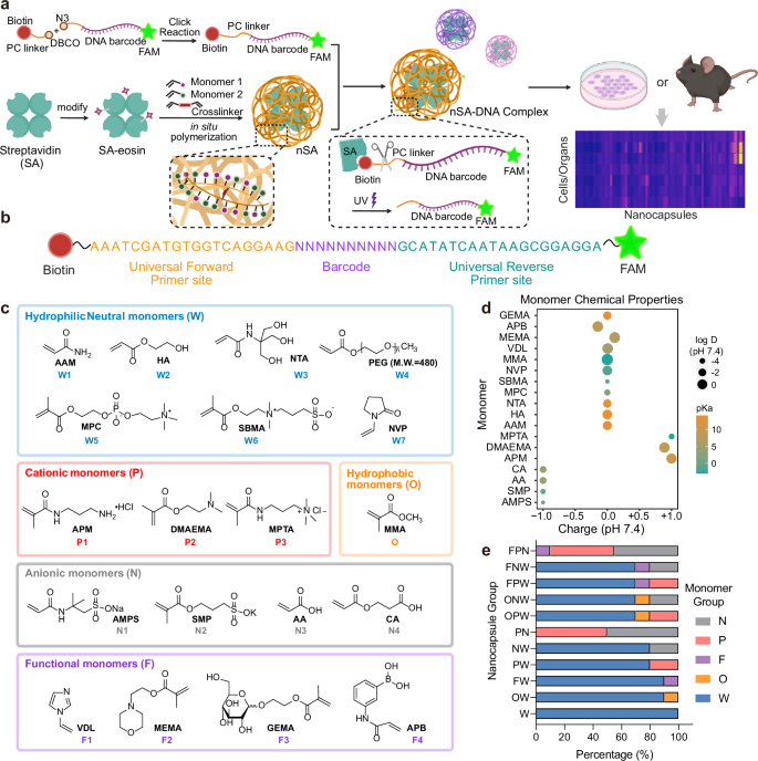 Fig. 1: The design of the DNA-barcoded screening and the nanocapsule library.