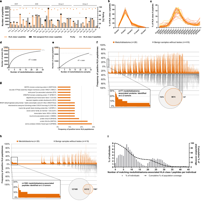 Fig. 2: Definition of medulloblastoma-associated proteins and peptides based on class I immunopeptidome analyses.