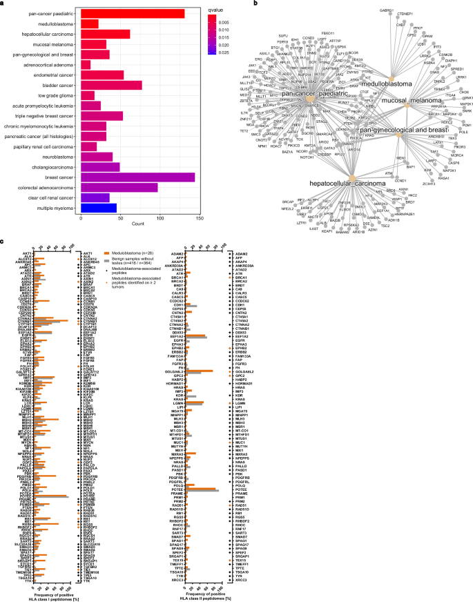 Fig. 4: Gene set enrichment and cancer testis antigens.