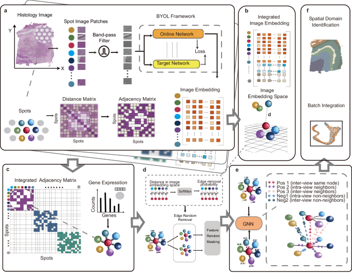 Fig. 1: Overview of the STAIG framework.
