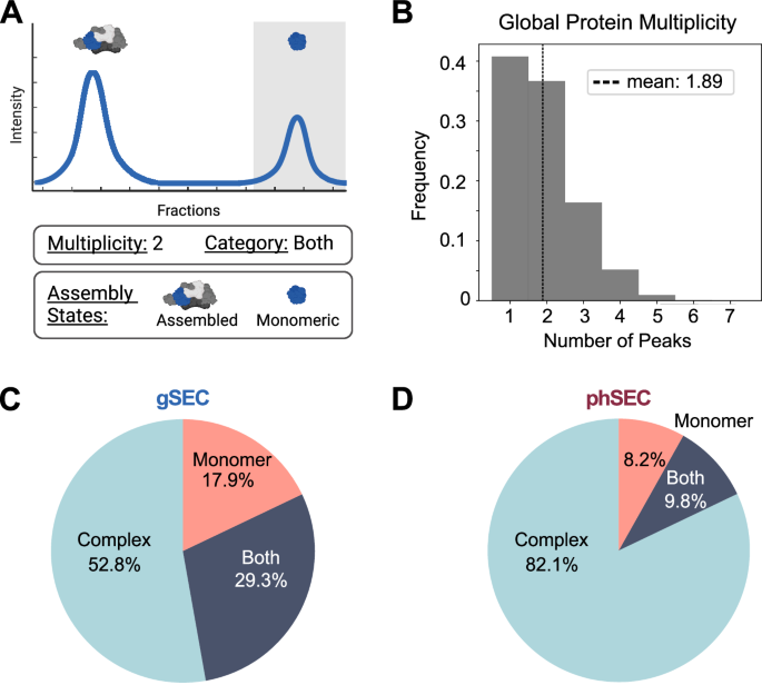 Fig. 3: A protein-centric analysis framework to study assembly states.