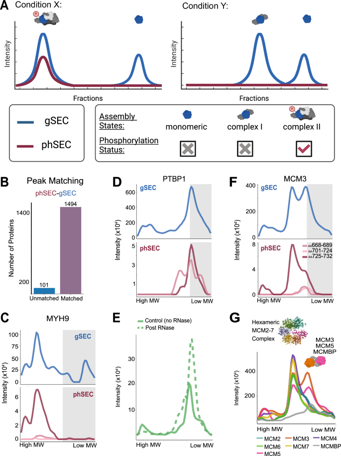 Fig. 4: Mapping PTMs onto assembly-states.