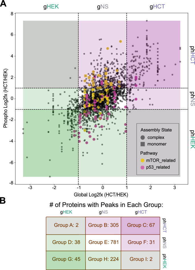 Fig. 7: SEC-MX enables exploration of functional pathways.