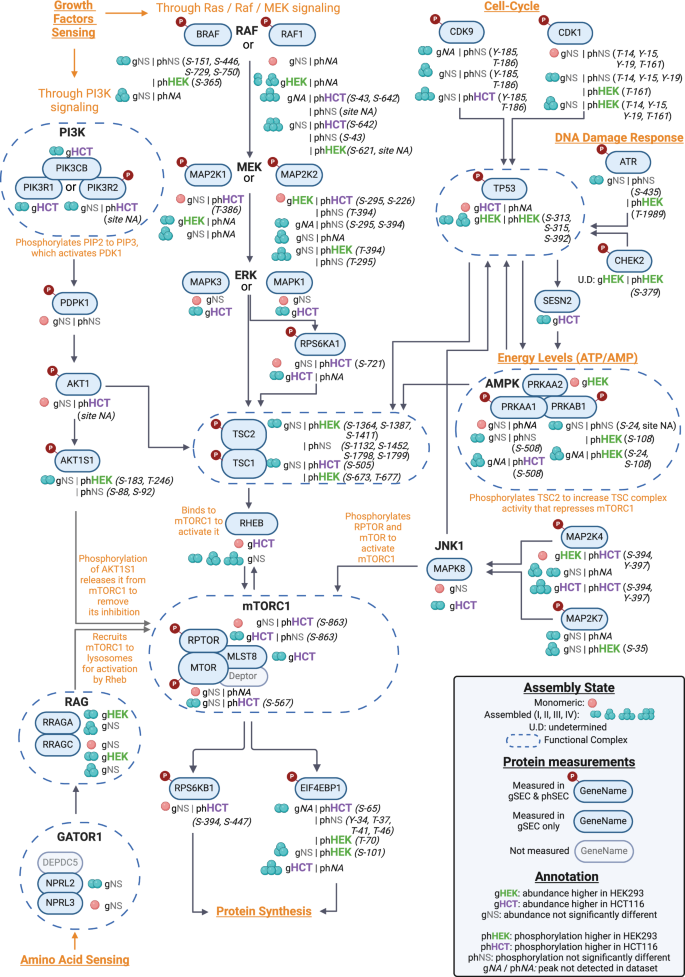 Fig. 8: Using SEC-MX to provide molecular insights.
