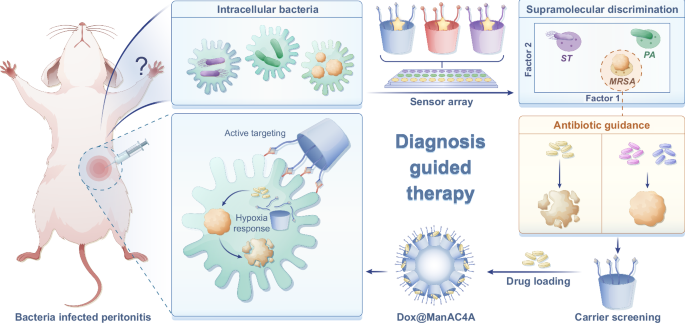 Fig. 1: Schematic design of diagnosis-guided therapy.