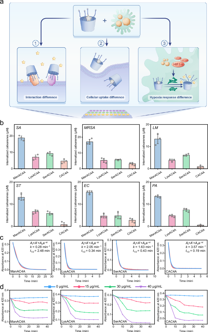 Fig. 3: Differential interactions and response signals between azocalix[4]arenes and intracellular bacteria.