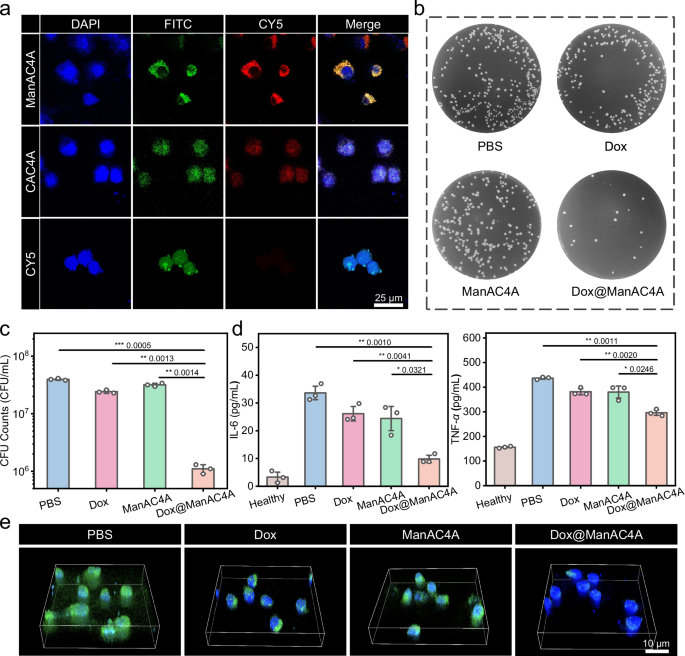 Fig. 5: The ability of Dox@ManAC4A to promote clearance of intracellular MRSA in vitro.