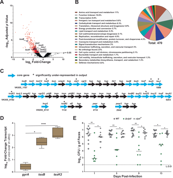 Fig. 1: An INSeq approach identified the T6SS as a major contributor to K. pneumoniae gut colonization.