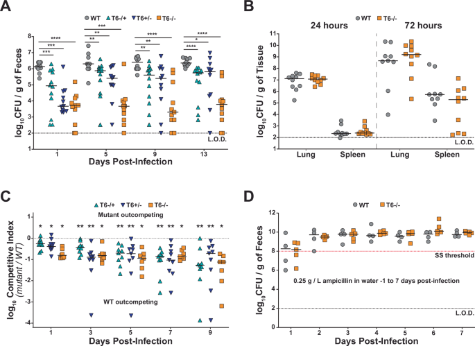 Fig. 2: Both T6SS loci of K. pneumoniae are important for gut colonization.