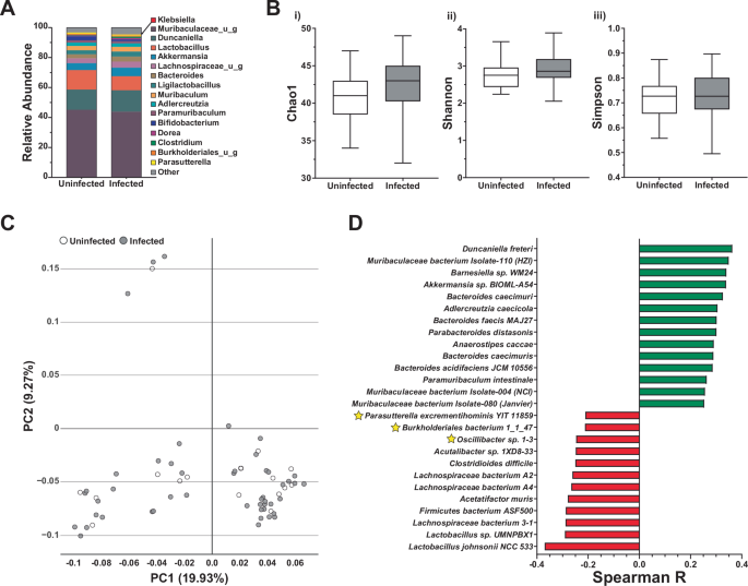 Fig. 4: Shotgun metagenomics analyses identifies K. pneumoniae-associated modulation of the gut microbiome.