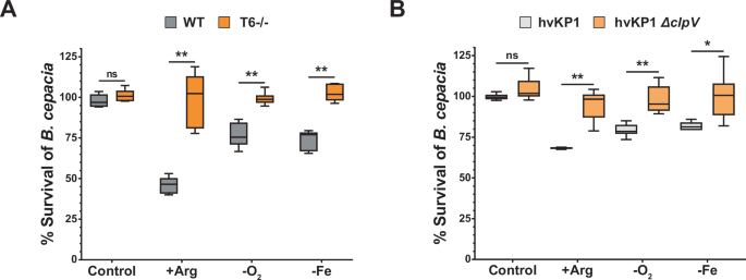 Fig. 6: Betaproteobacteria member Burkholderia cepacia is reduced by K. pneumoniae in a T6SS-specific manner.