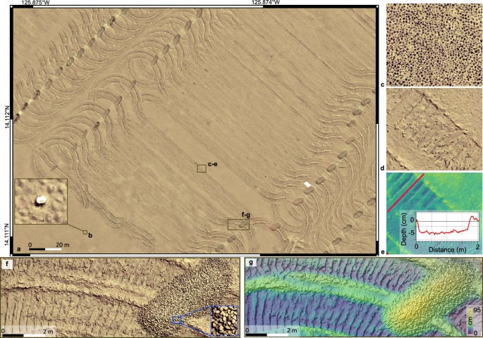 Fig. 2: Orthophoto-mosaics obtained at a depth of 4500 m show the mining imprints on the seafloor.