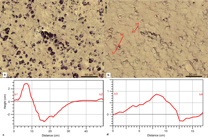 Fig. 4: Formation of ripples downstream and downslope from the first mining strip.