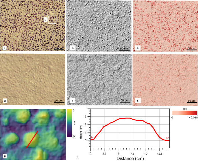 Fig. 9: Sediment redeposition within the impact site.